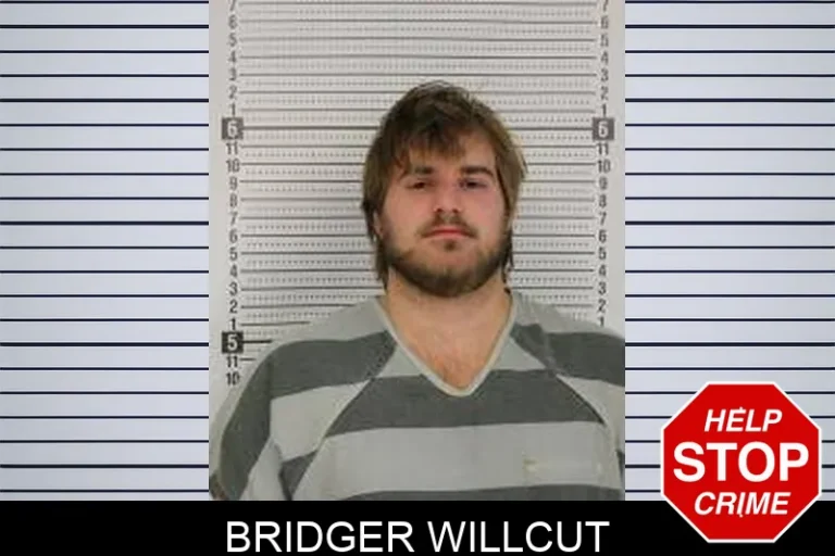 Bridger Willcut