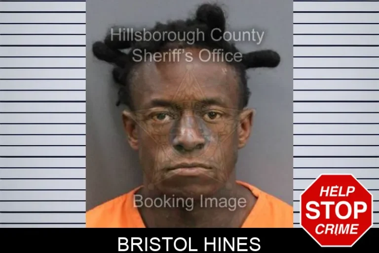 Bristol Hines