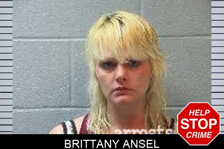 Brittany Ansel