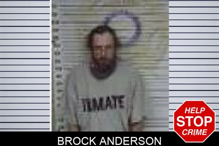 Brock Anderson