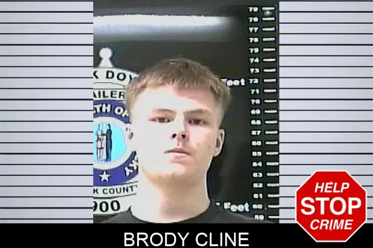 Brody Cline