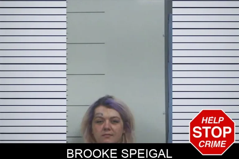 Brooke Speigal