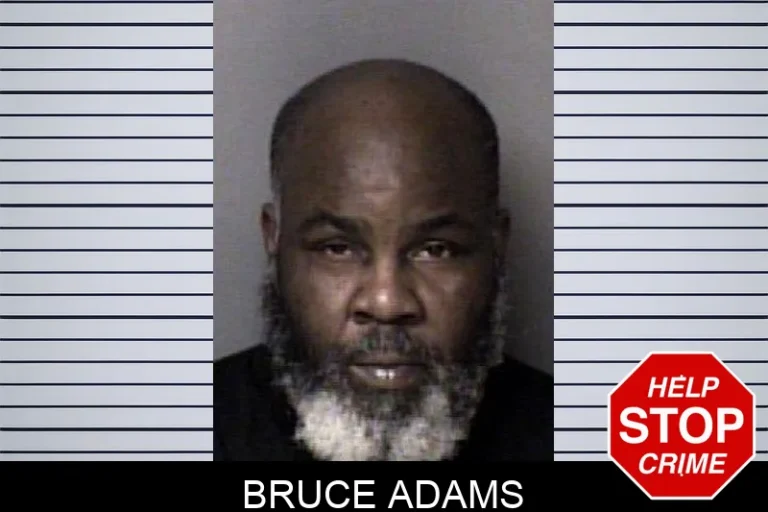 BruCe Adams