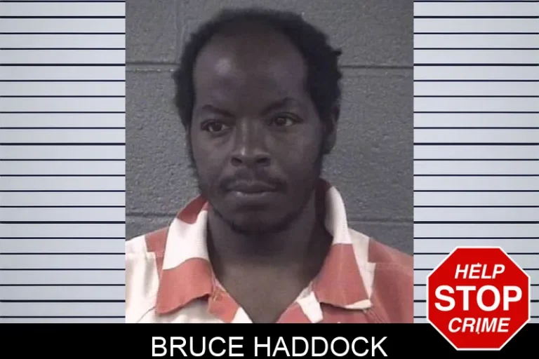 BruCe Haddock