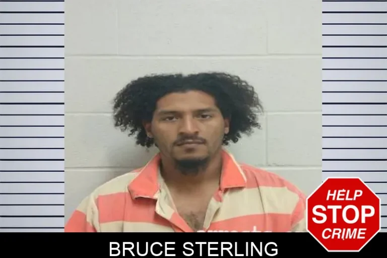 BruCe Sterling