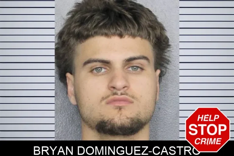 Bryan DominguEz-Castro