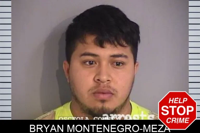 Bryan Montenegro-Meza