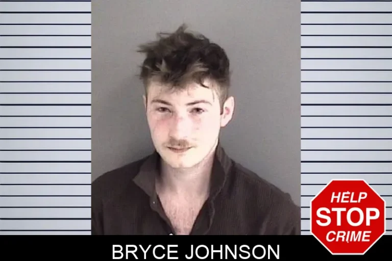 Bryce Johnson