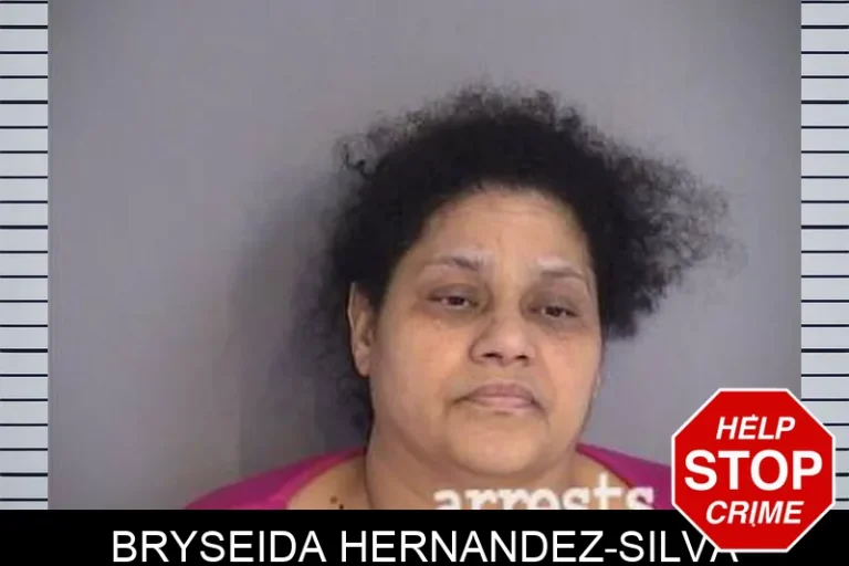 Bryseida Hernandez-Silva