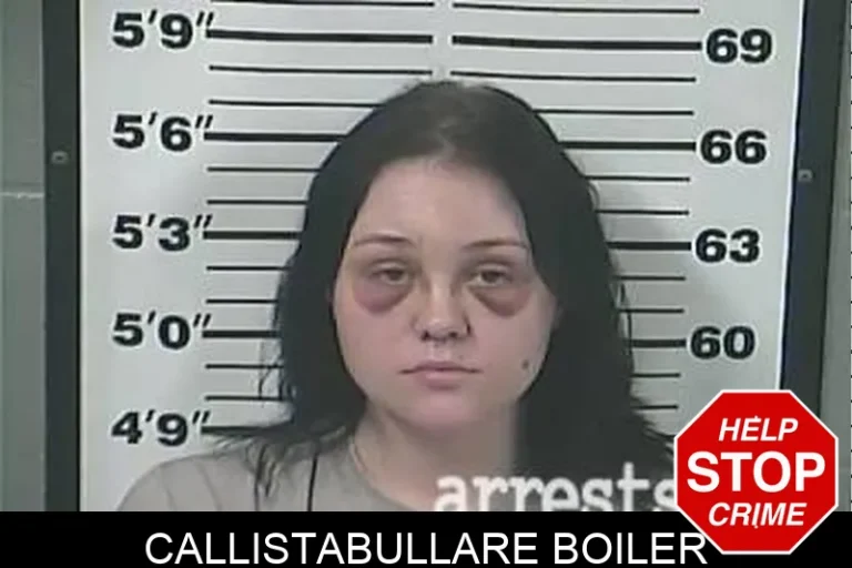 Callistabullare Boiler