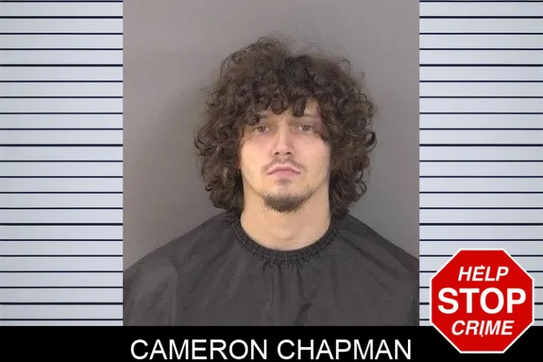 Cameron Chapman