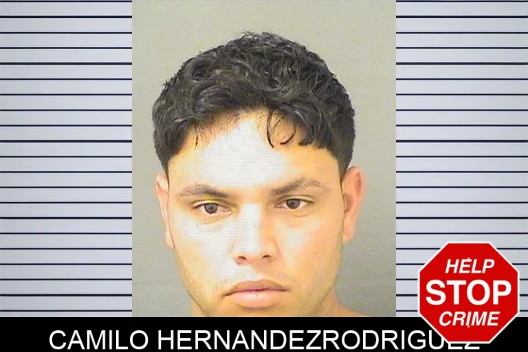 Camilo HernandezrodriguEz