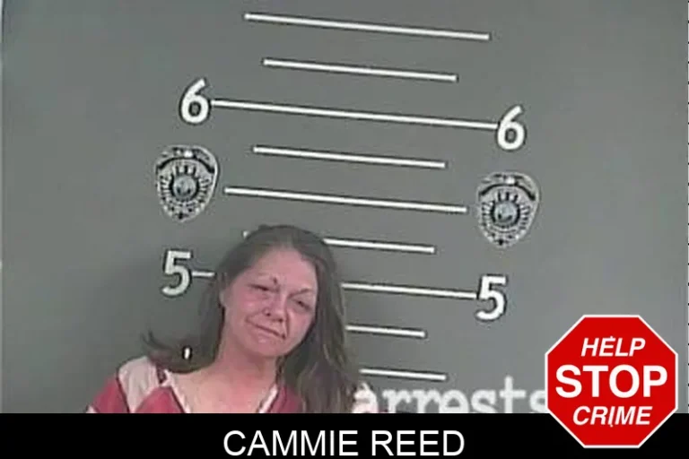 Cammie Reed