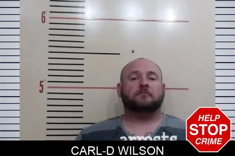 Carl-D Wilson