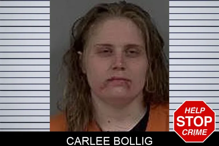 Carlee Bollig