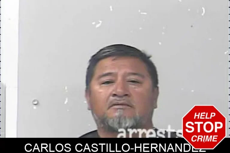Carlos Castillo-Hernandez