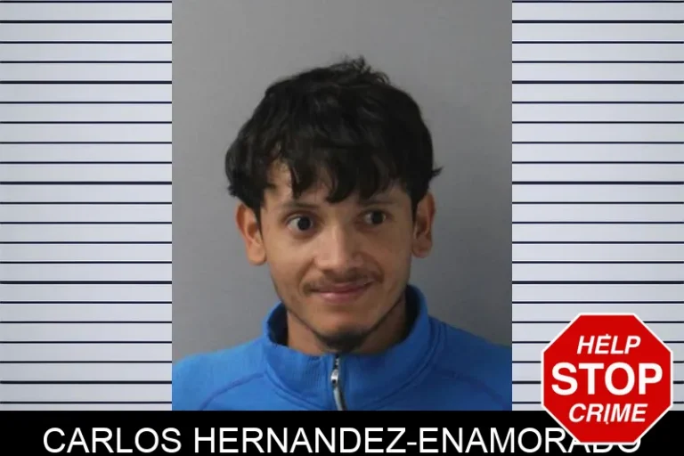 Carlos Hernandez-Enamorado