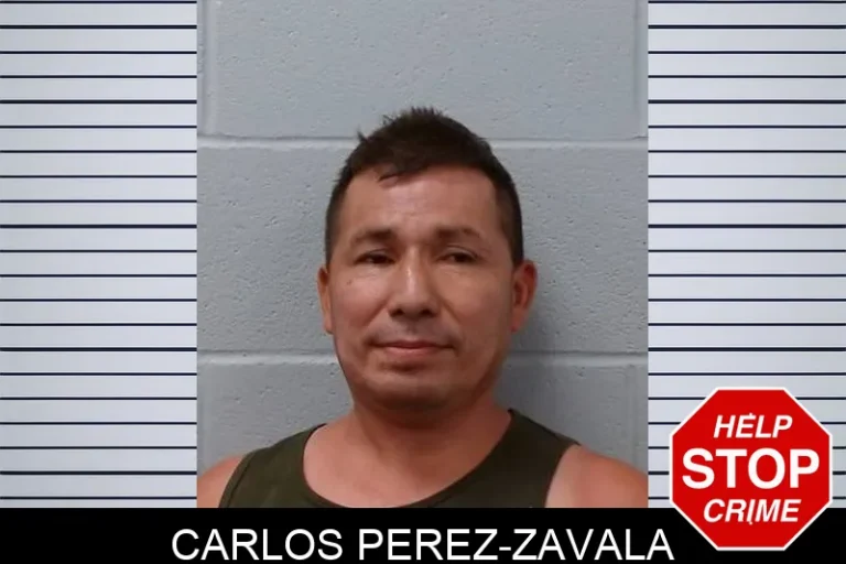 Carlos Perez-Zavala
