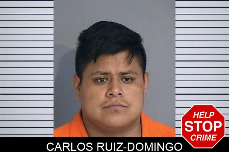 Carlos Ruiz-Domingo