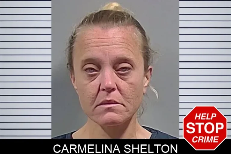 Carmelina Shelton