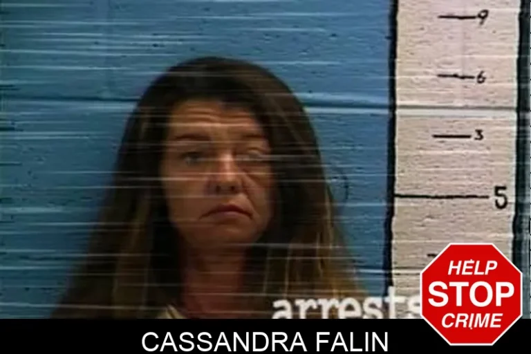 Cassandra Falin
