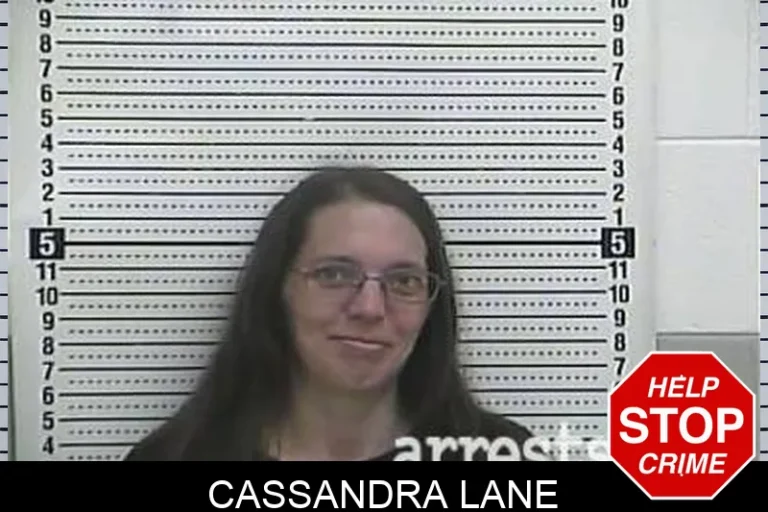 Cassandra Lane