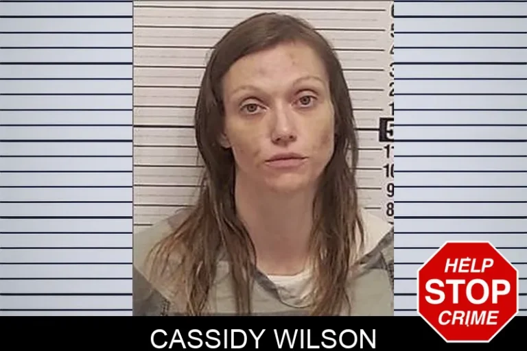 Cassidy Wilson