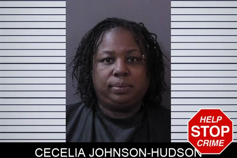 Cecelia Johnson-HuDson