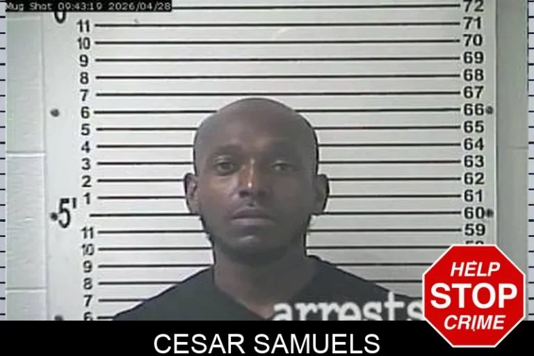 Cesar SamuEls