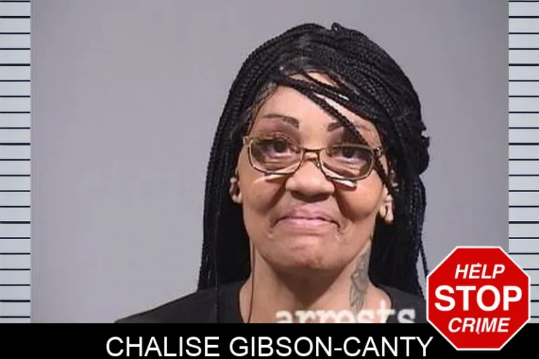 Chalise Gibson-Canty
