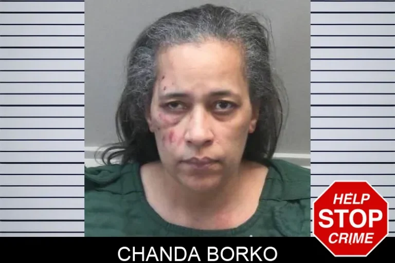 Chanda Borko