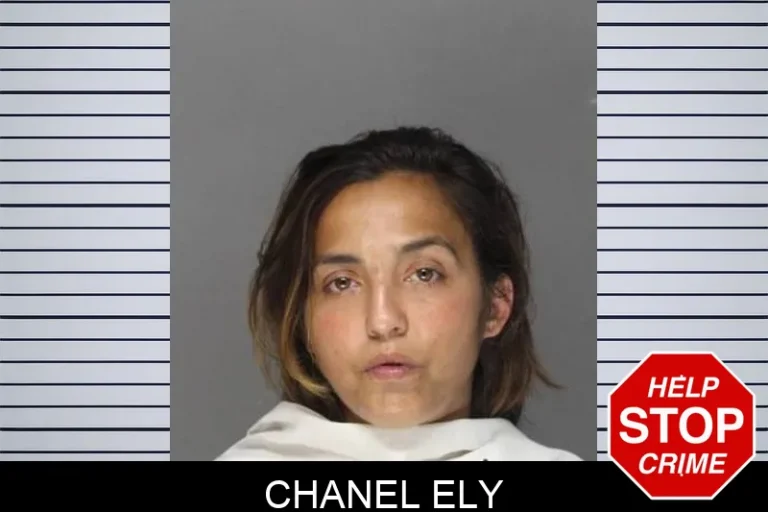 Chanel Ely