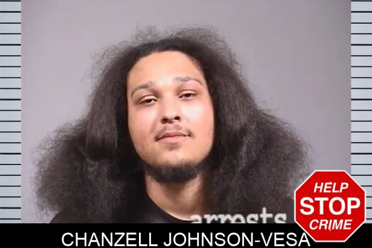 Chanzell Johnson-Vesa
