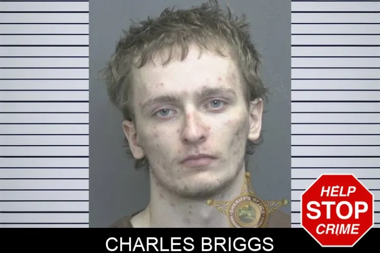 Charles Briggs