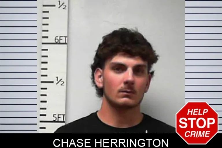 Chase Herrington