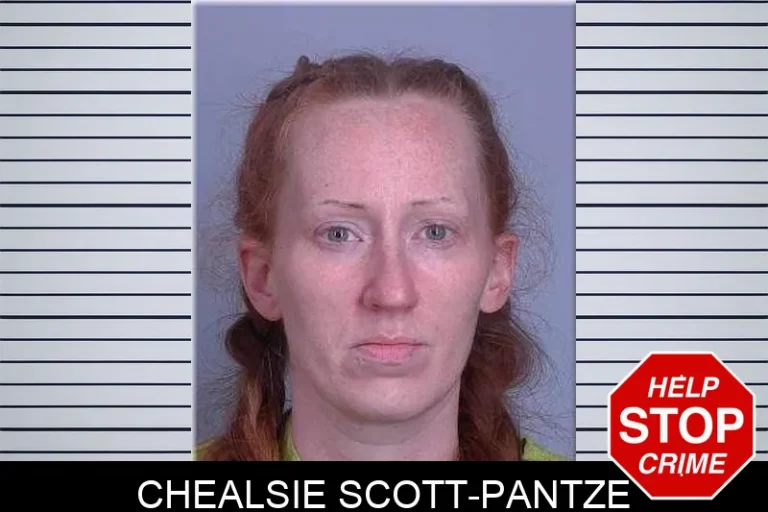Chealsie Scott-Pantze