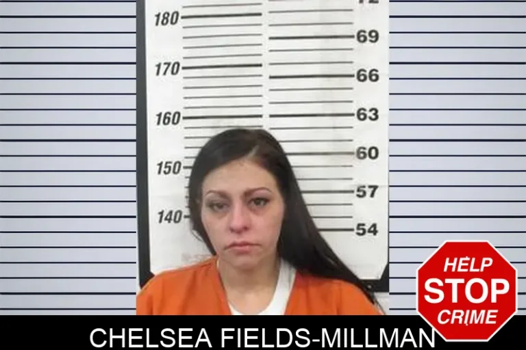 Chelsea Fields-Millman