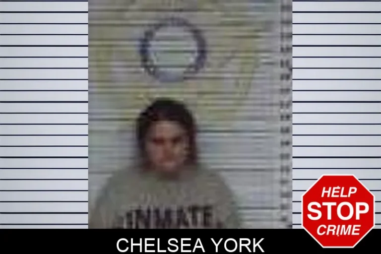 Chelsea York