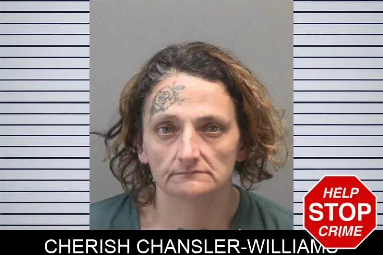 Cherish Chansler-Williams