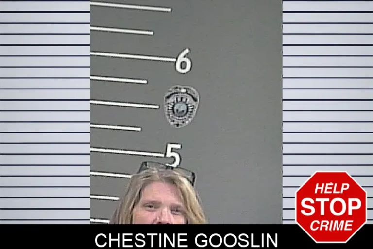 Chestine Gooslin