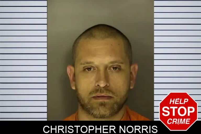 Christopher Norris