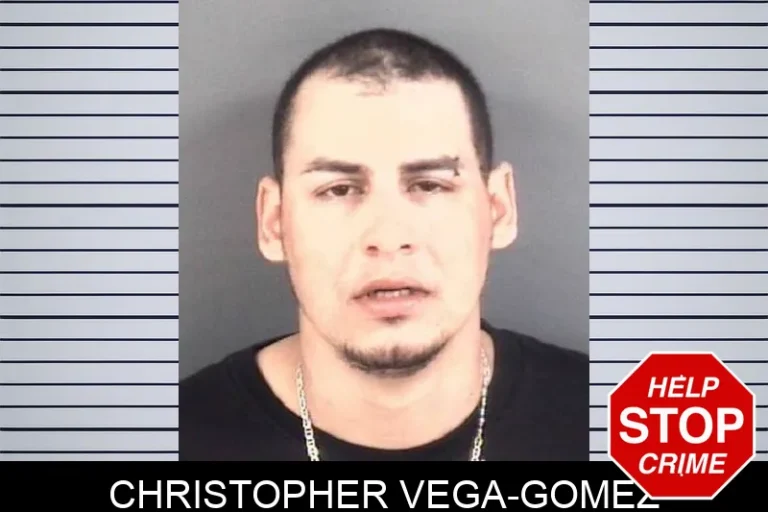 Christopher Vega-Gomez