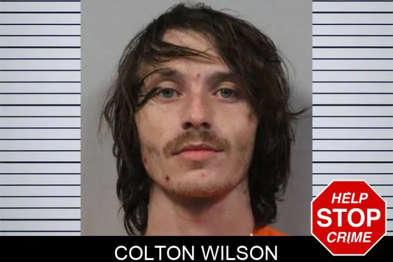 Colton Wilson