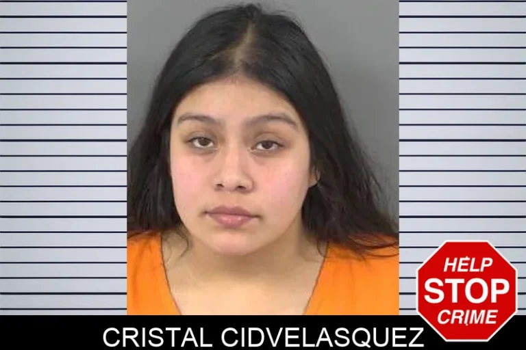 Cristal Cidvelasquez