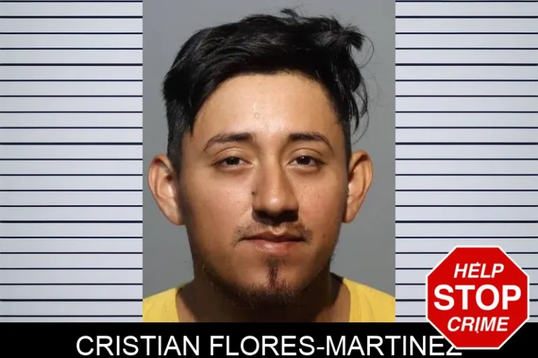 Cristian Flores-Martinez