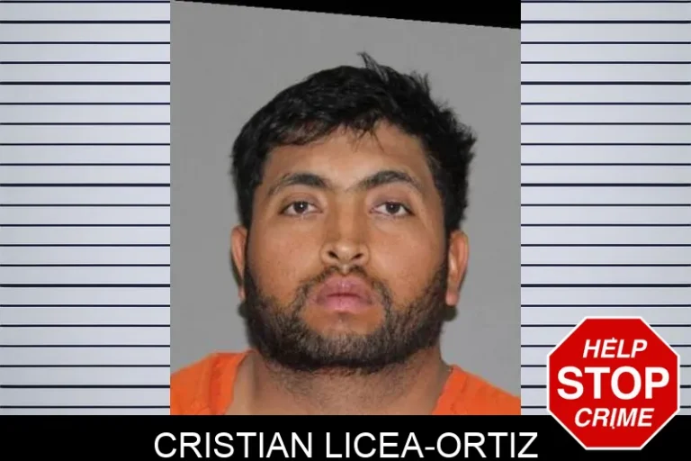 Cristian Licea-Ortiz