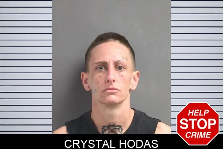 Crystal Hodas