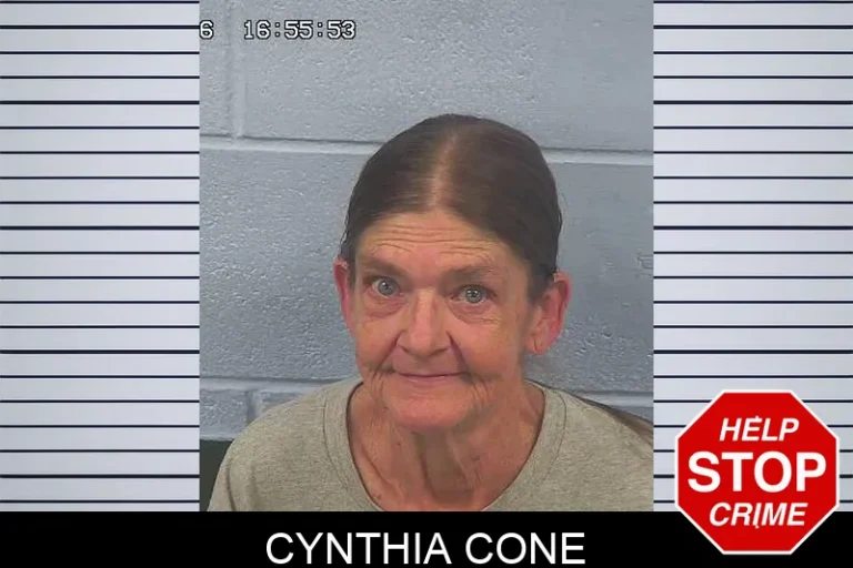 Cynthia Cone