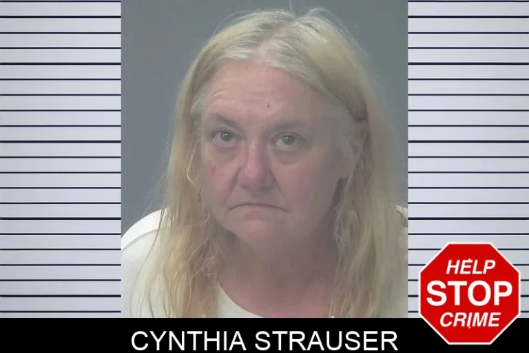 Cynthia StrauSer