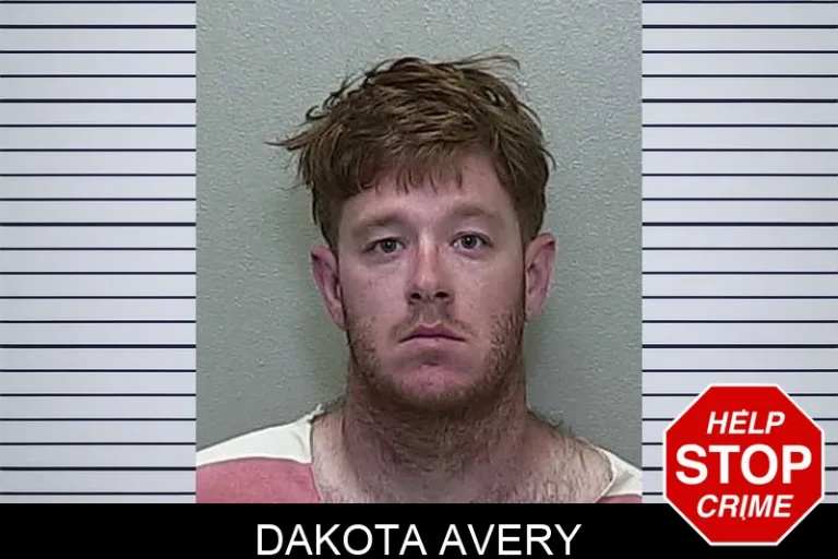 Dakota Avery